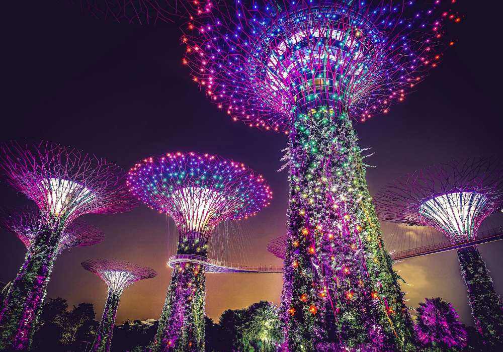 gardens by the bay singapore