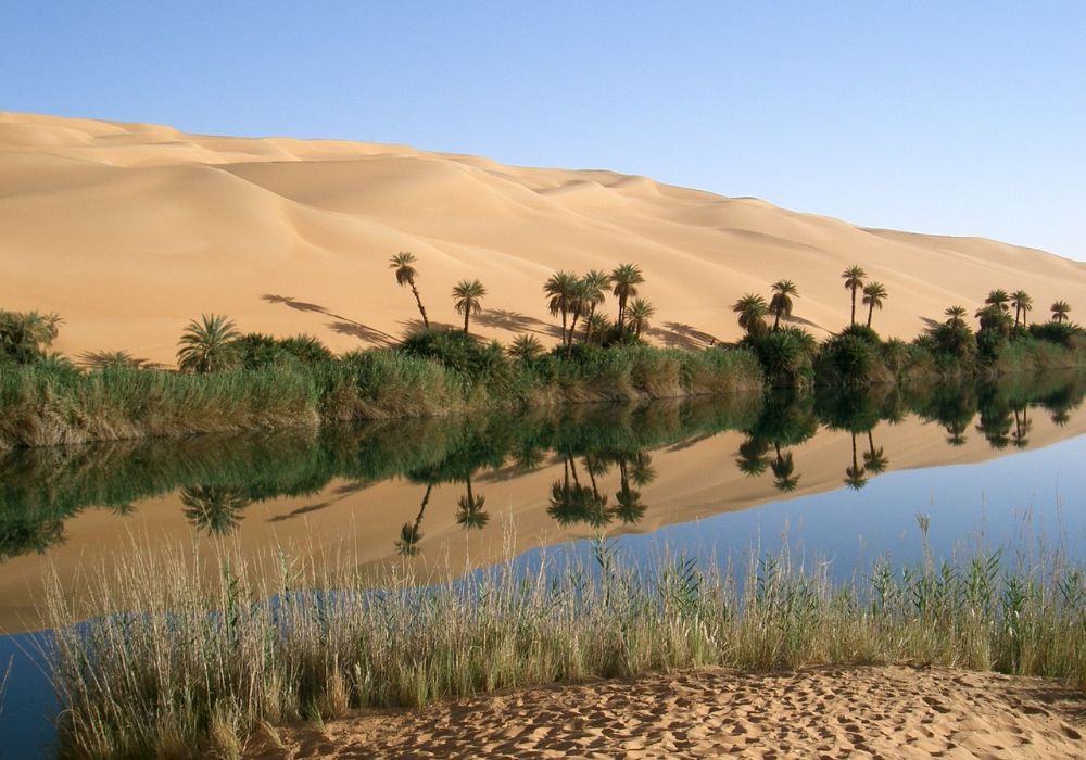 cồn cát Sahara