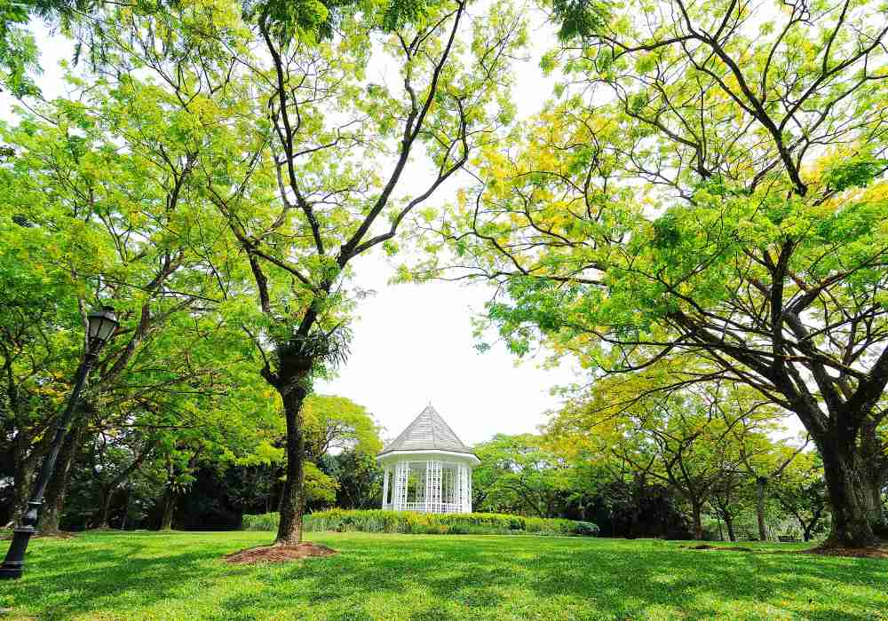 Botanic Garden Singapore