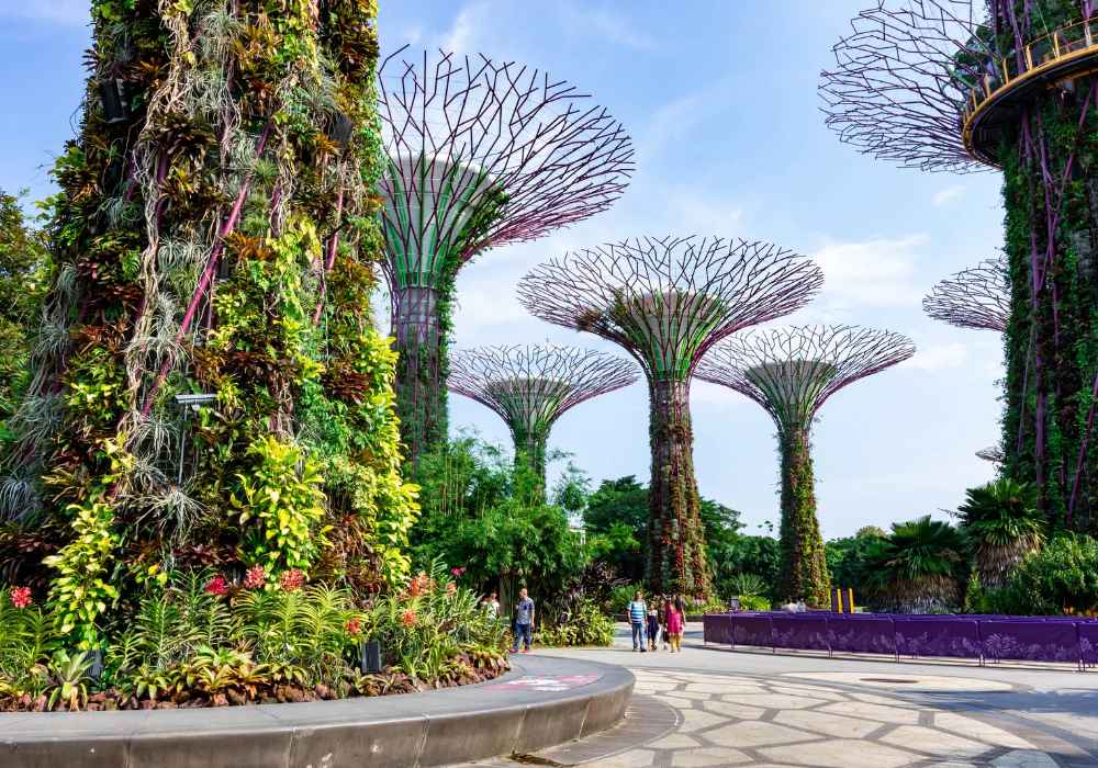 Gardens By the bay