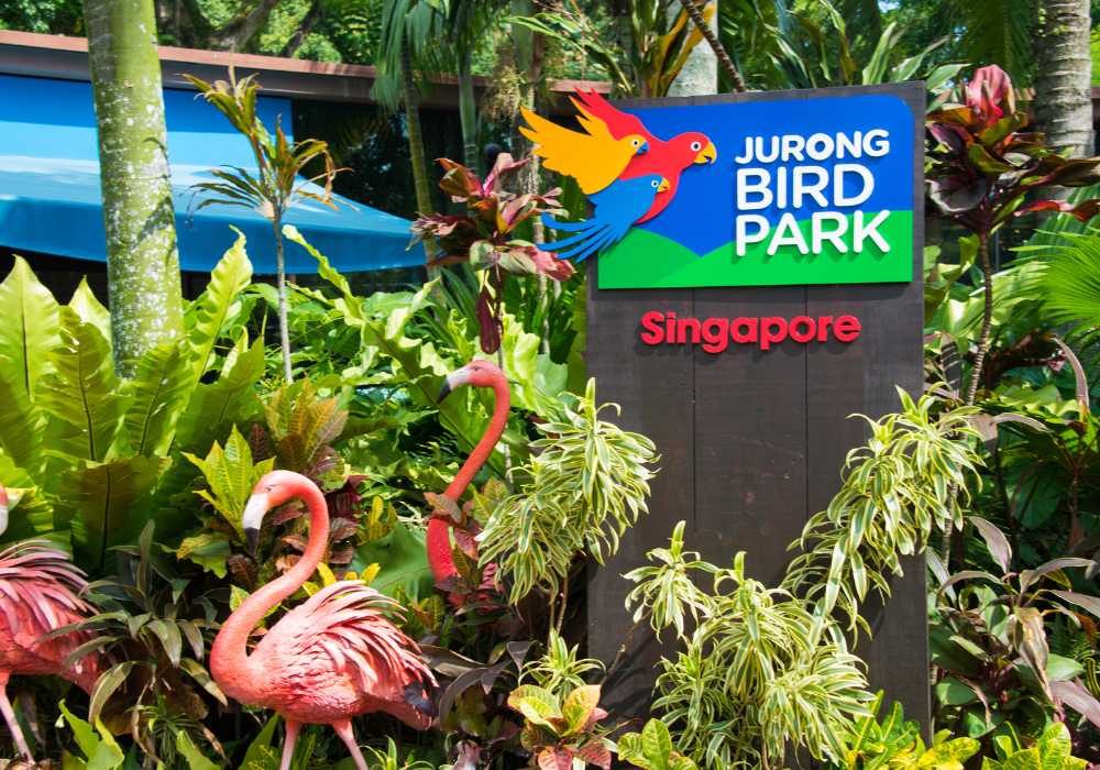Vườn chim Jurong BIrd Park