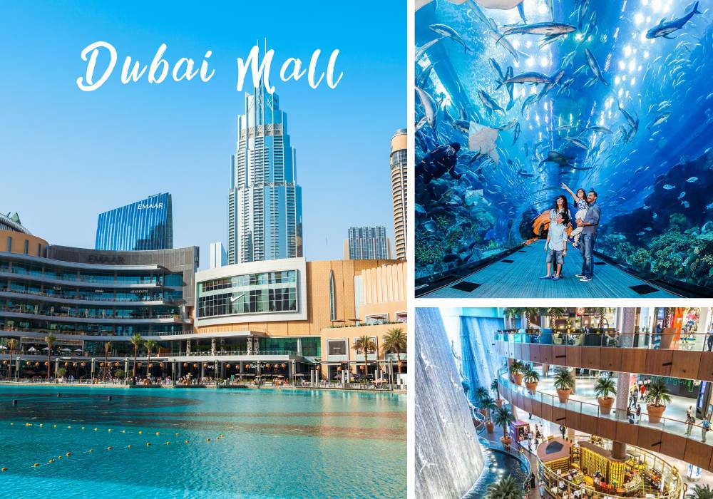 điểm tham quan tại Dubai Dubai Mall 