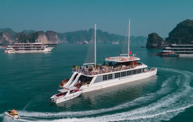 Du thuyền Catamaran | Hành trình 8 tiếng sôi động tại Hạ Long, Lan Hạ
