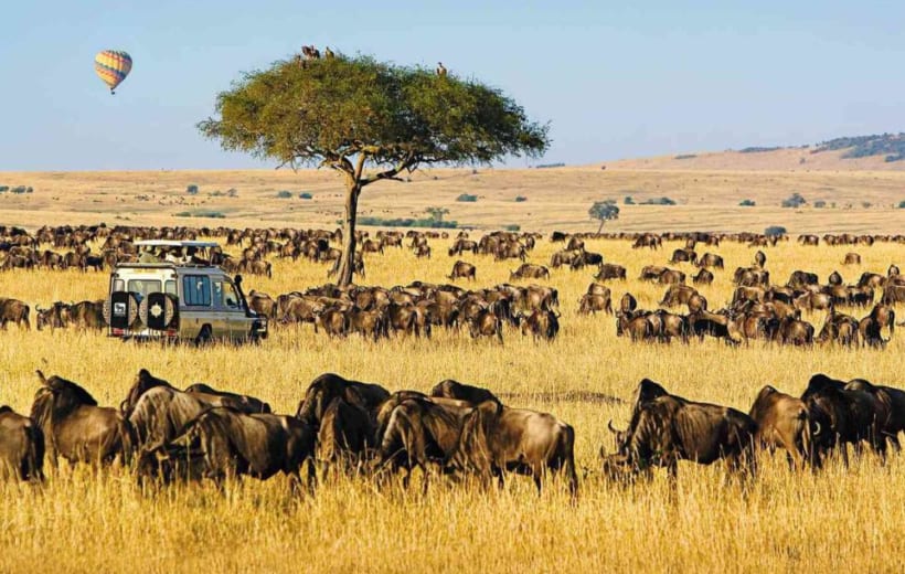 Du lịch Nam Phi - Khám phá vùng đất kim cương 8 ngày 7 đêm