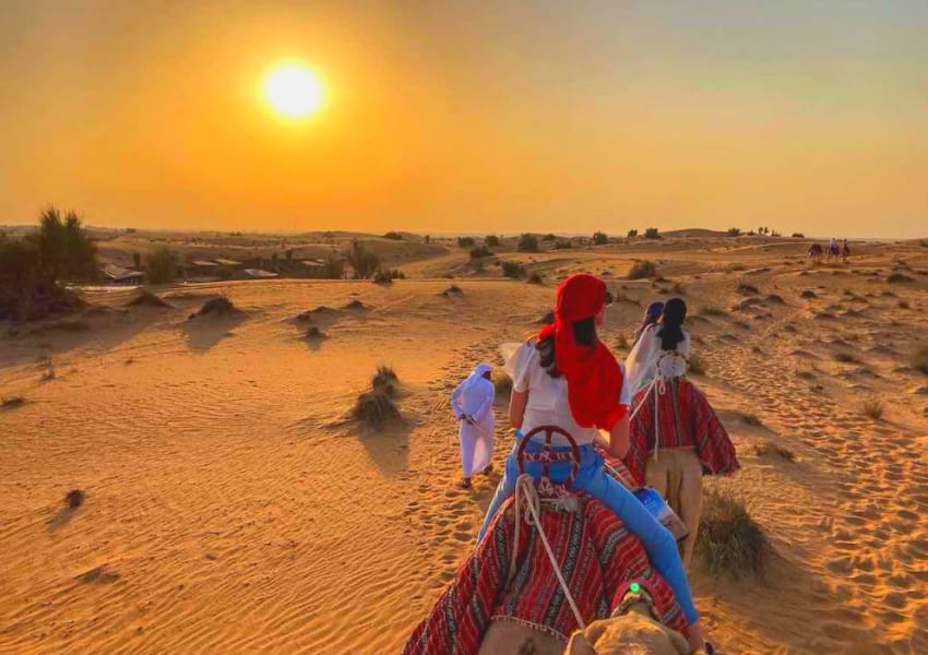 Sa mạc safari Dubai