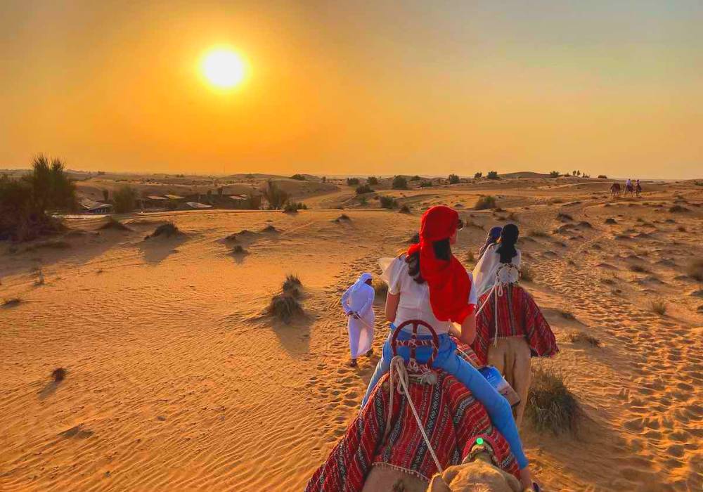 Sa mạc safari Dubai